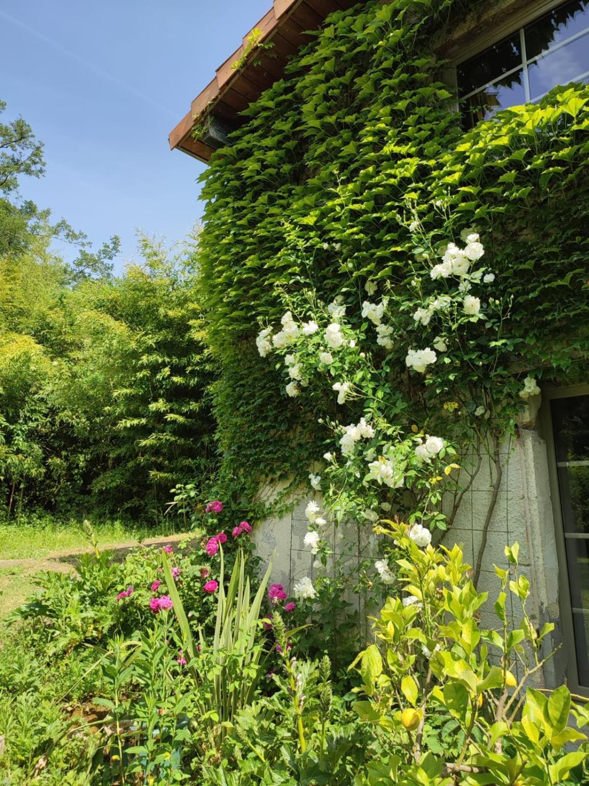 Chambre D'Hotes Le Moulin De Moulis Luaran gambar