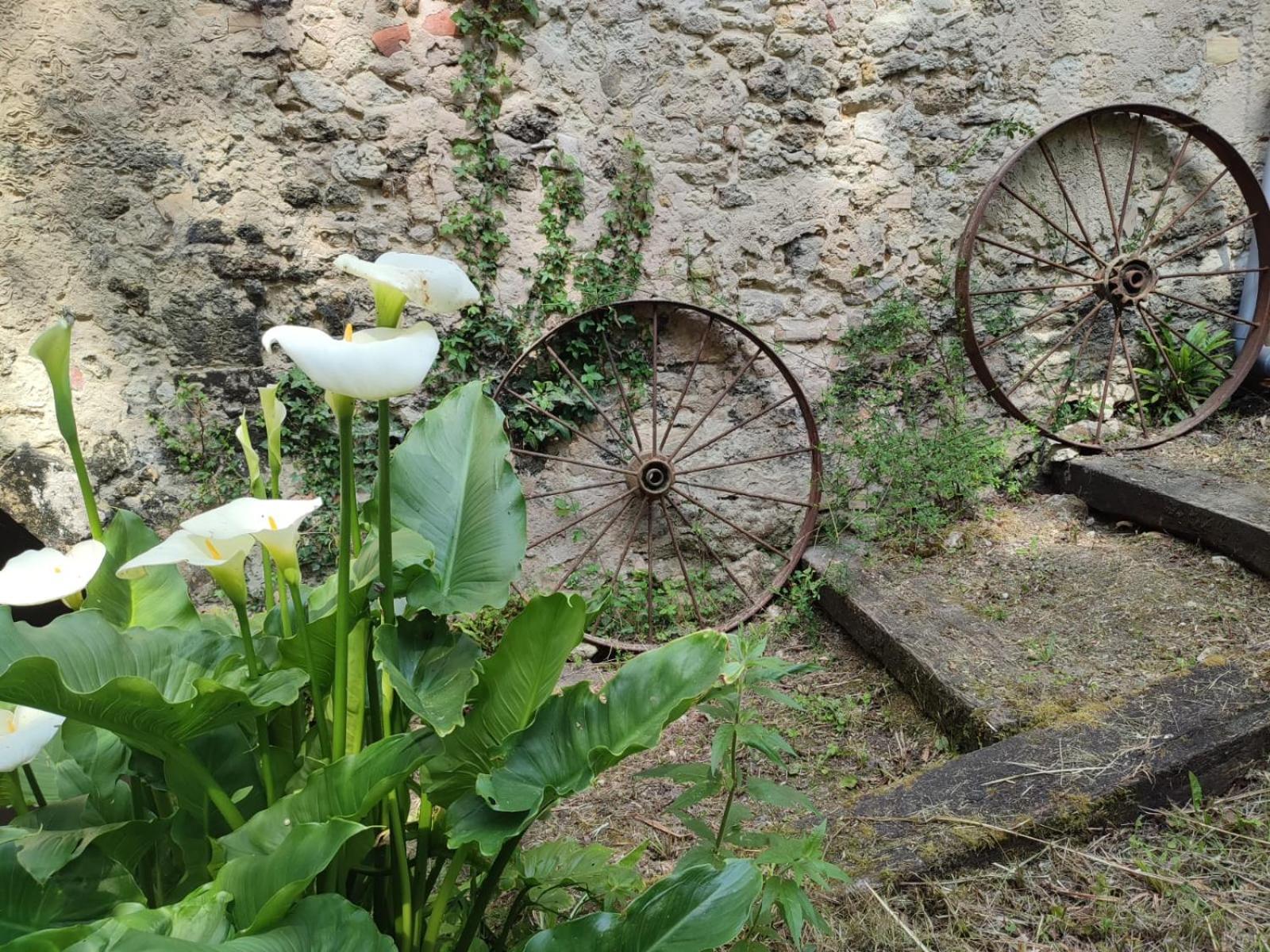 Chambre D'Hotes Le Moulin De Moulis Luaran gambar